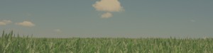 bg_img004